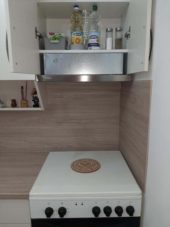 Apartman Viaggio スレムスカ・ミトロヴィツァ エクステリア 写真